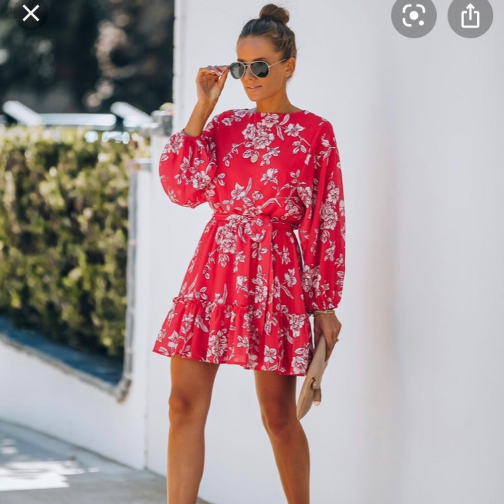 You Grow Girl Balloon Sleeve Ruffle Dress